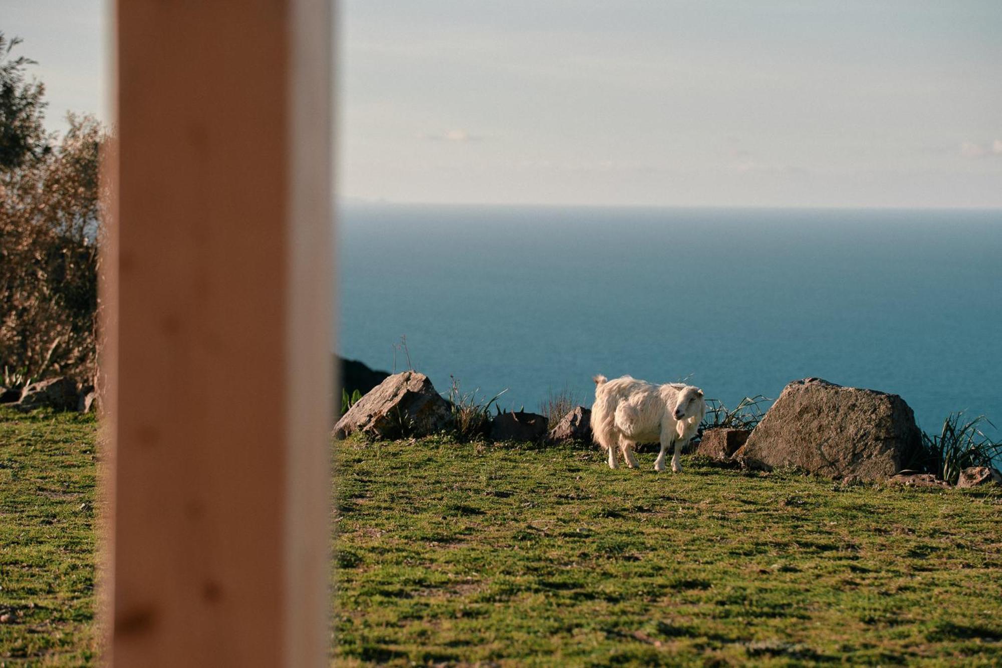 New Suites Sea View Sardinia, Castelsardo Exterior foto